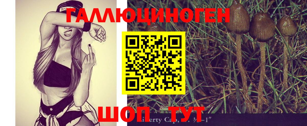 Псилоцибиновые грибы Psilocybine cubensis  Галлюциногенные грибы Psilocybe  Назрань  Вход с VPN 