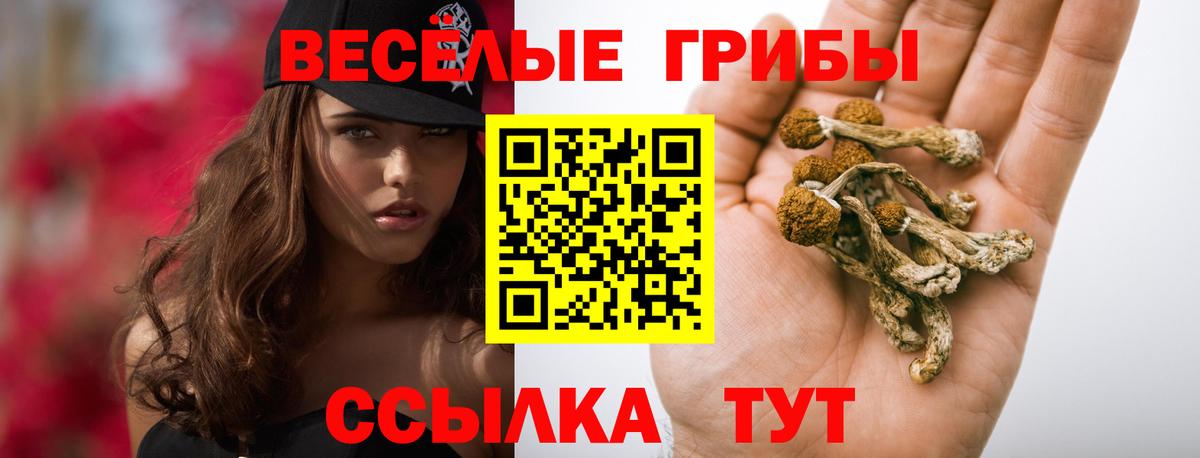 Галлюциногенные грибы Cubensis Назрань